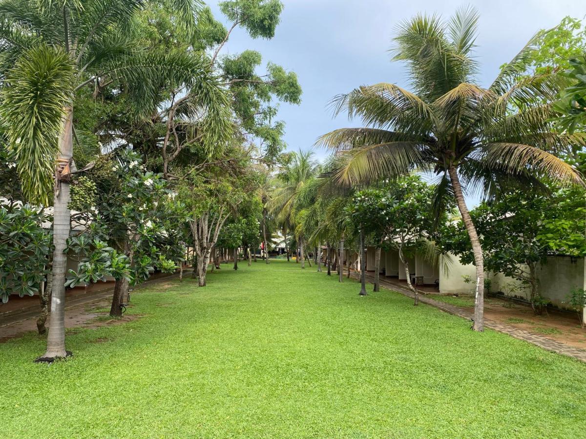 Carolina Beach Resort & Spa Chilaw Exterior photo